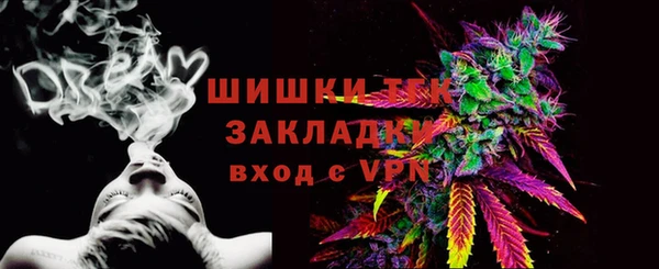 гашик Балахна