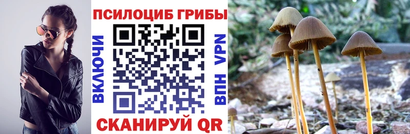 Псилоцибиновые грибы мицелий  Шарья 